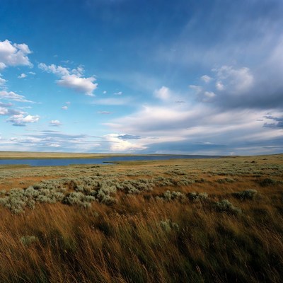 Wide open fields and clouds
