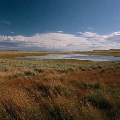Vast grassland near calm lake