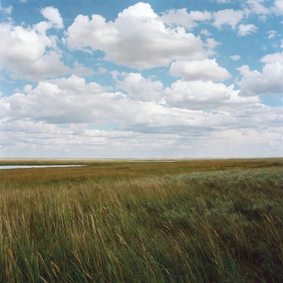 Open grassland under a cloudy sky