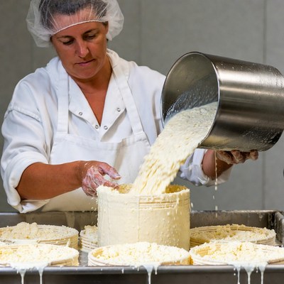 Woman making cheese in a kitchen
