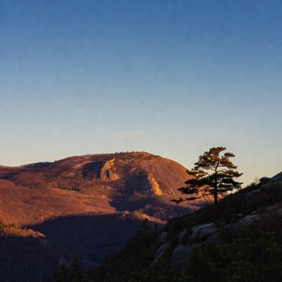 Sunset over mountain landscape with tree