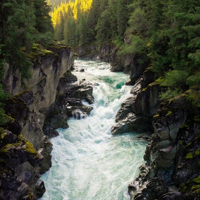 River flows through canyon in forest