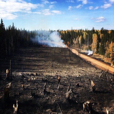 Forest recovery after wildfire event
