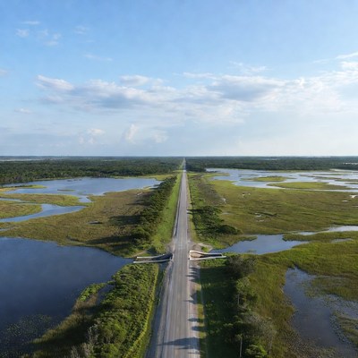Road through wetland in daylight