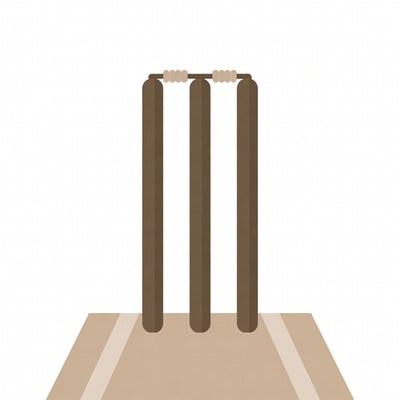 Cricket stumps on a pitch