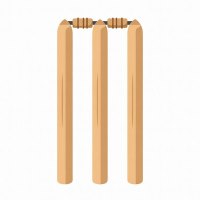 Cricket stumps standing on a field