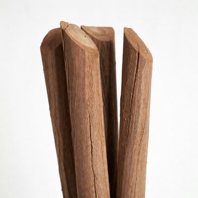 Natural wood sticks arranged in a group