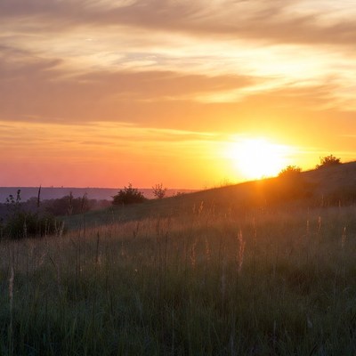 Sunset over grassy hill landscape