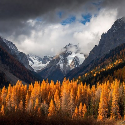 Autumn mountains with orange trees