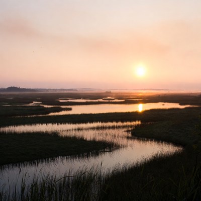 Sunset over wetlands landscape with water