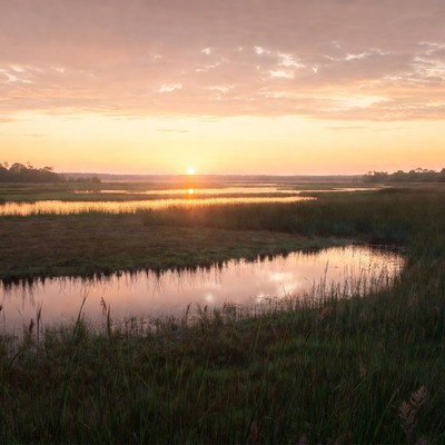 Sunset over calm marsh