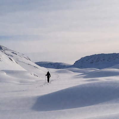 Walking through snowy landscape in winter