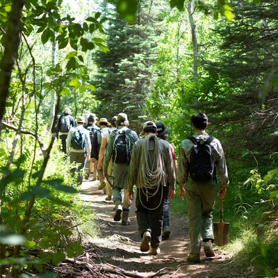Group of hikers on a forest trail