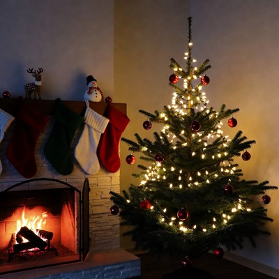 Christmas tree by the fireplace in evening