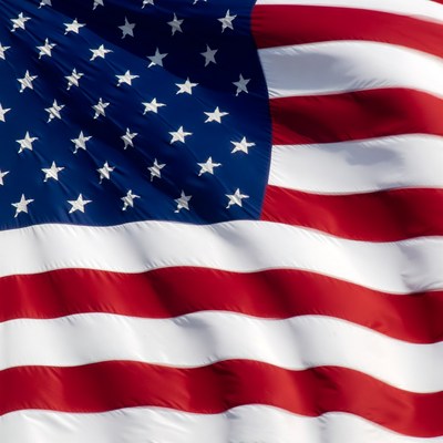 Waving flag in bright sunlight