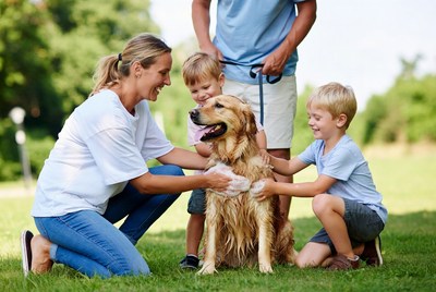 Family washes dog in park with children