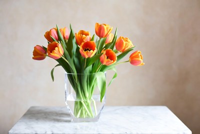 Bright tulips in a clear vase