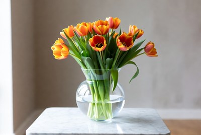Bright tulips in a clear vase