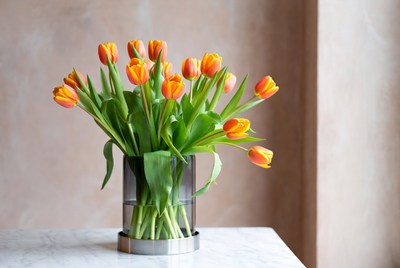 Bright tulips in a simple vase
