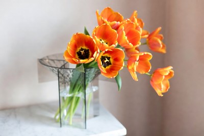 Orange tulips in a glass vase inside a home