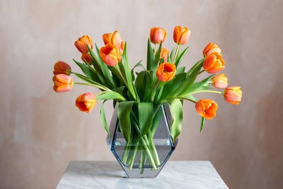 Bright orange tulips in a clear vase