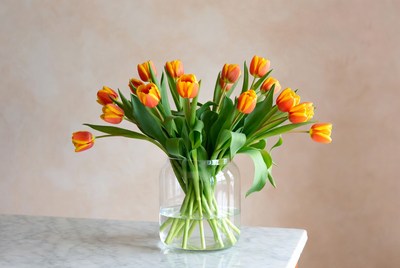 Bright tulips in a glass vase