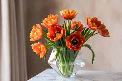 Bright orange flowers in a clear vase