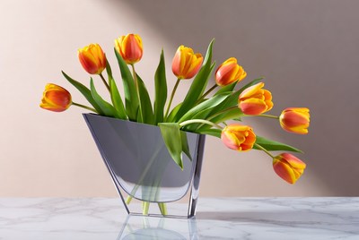 Bright tulips in modern vase