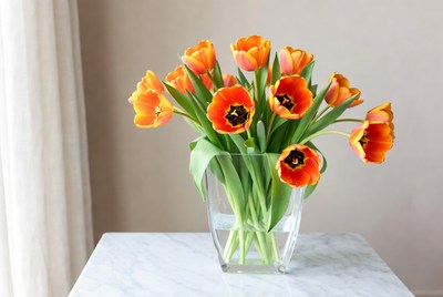 Colorful tulips in clear vase on table