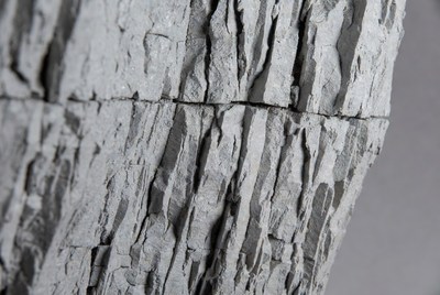 Wood texture in black and white