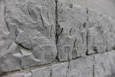 Stone carvings on a wall