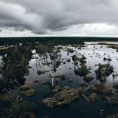 Flooded landscape in a wetland area