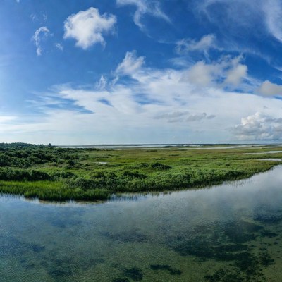 Wetlands and sky view from above