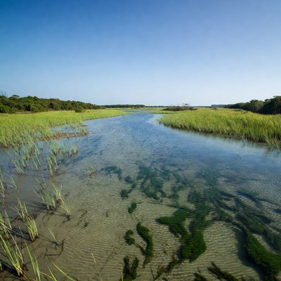 River flows through green marshland