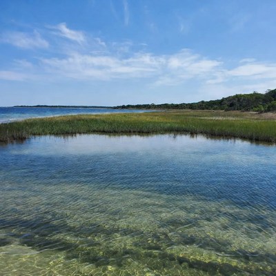 Clear water and green grass near shore