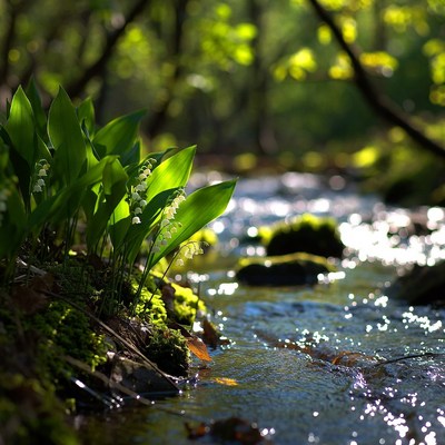 Lily of the valley by a stream