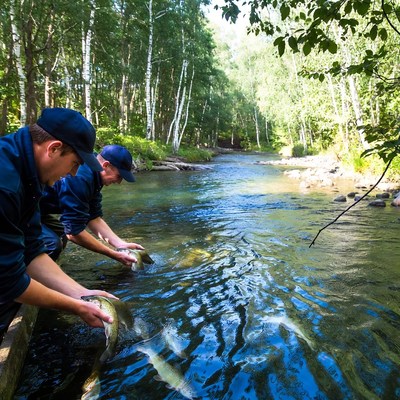 Fishing at a riverbank in summer