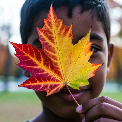 Child holding colorful leaf outdoors