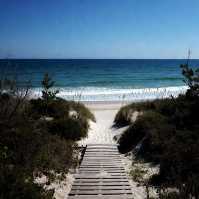 Wooden path to sandy beach