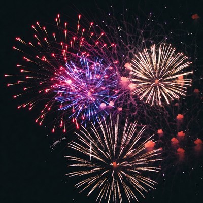 Colorful fireworks light up night sky