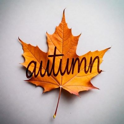 Autumn leaf with written text