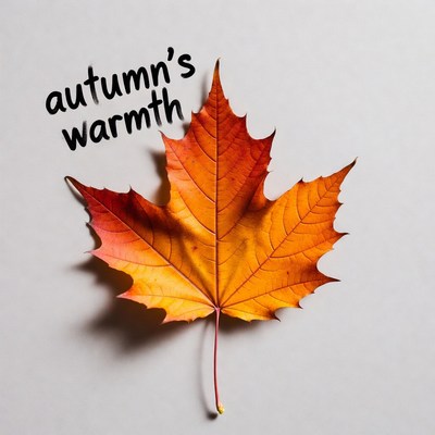 Colorful leaf on white background