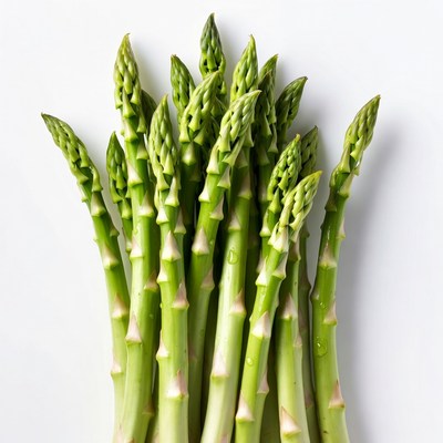 Fresh asparagus on white background