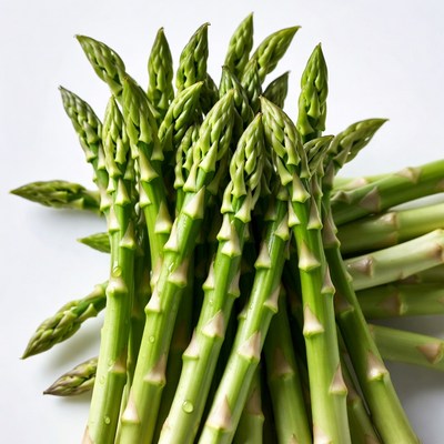 Fresh asparagus on a white background