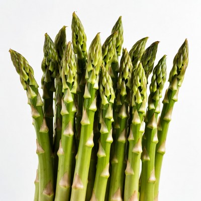 Fresh green asparagus bunch ready for cooking