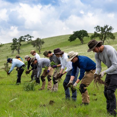 People working together in a field