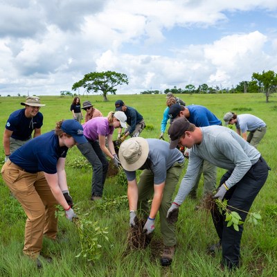 Group planting trees in the field