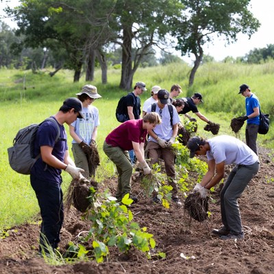 Students planting trees in community project