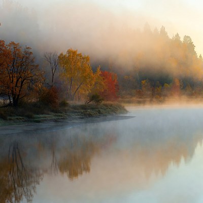 Foggy morning by the lake in autumn