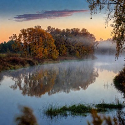 Early morning by the river